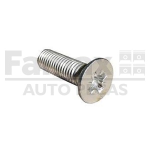 Parafuso 10X35 Cabeca Scania Philips Tampa Traseir